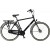 Pointer Solara Heren
